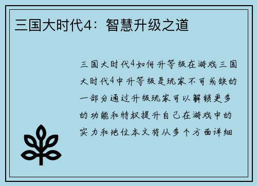 三国大时代4：智慧升级之道